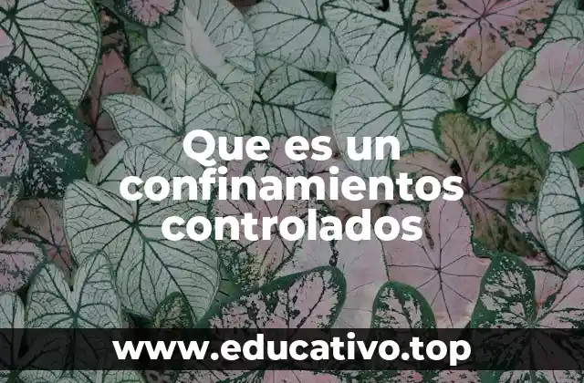 Que es un confinamientos controlados