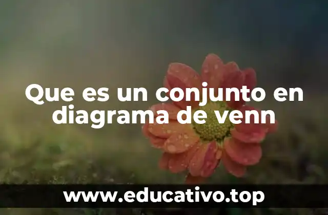 Que es un conjunto en diagrama de venn