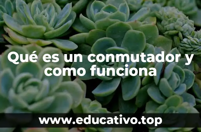 El rol del conmutador en una red local