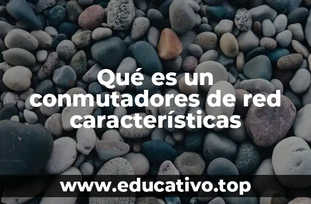 Qué es un conmutadores de red características
