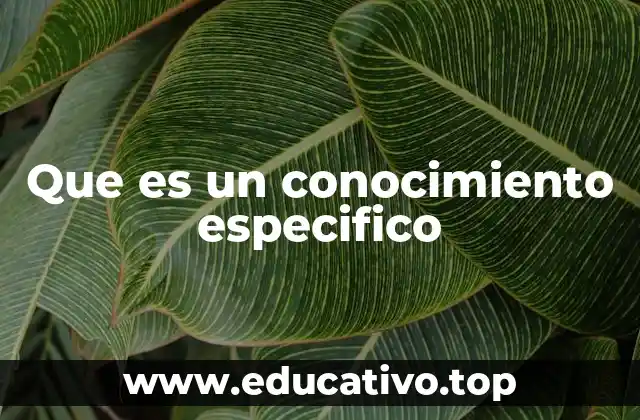 Que es un conocimiento especifico