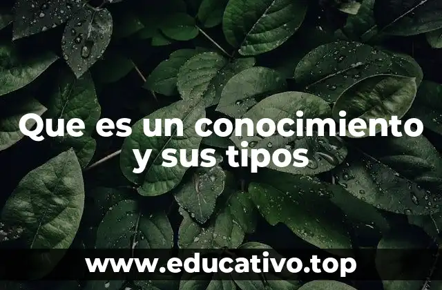 Que es un conocimiento y sus tipos