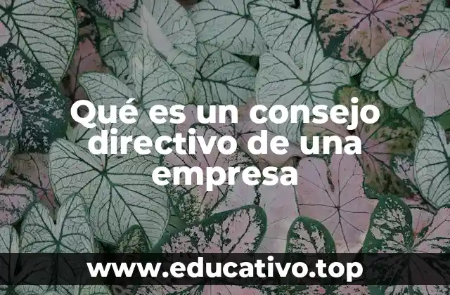 Qué es un consejo directivo de una empresa