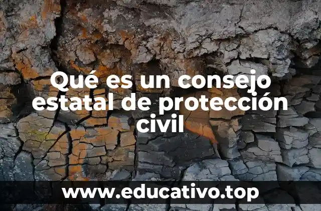 Qué es un consejo estatal de protección civil