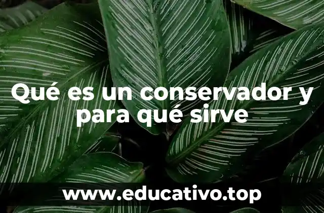 Qué es un conservador y para qué sirve