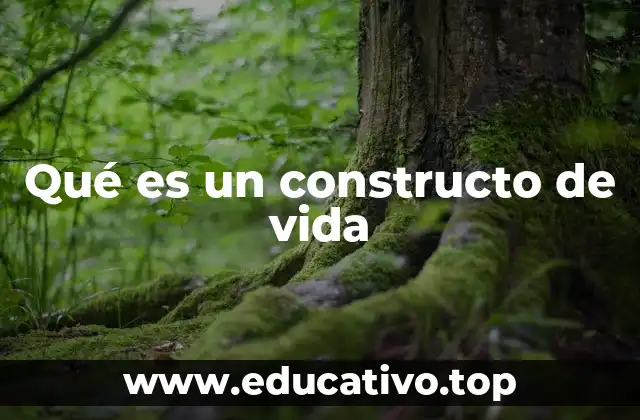 La importancia de tener una visión clara de tu realidad