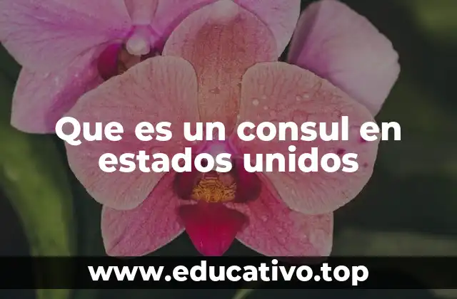 Que es un consul en estados unidos