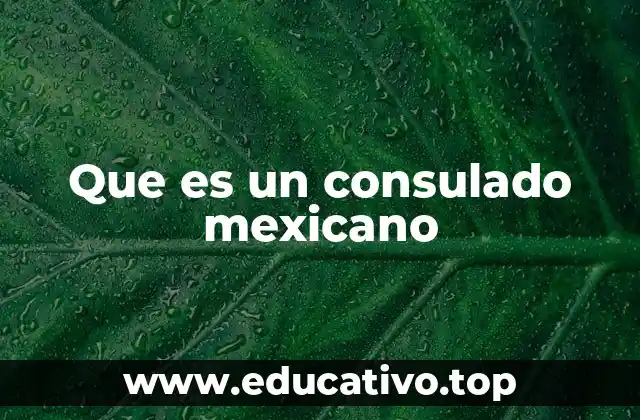 El rol de las oficinas consulares en el exterior