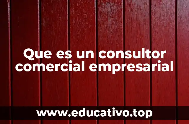 Que es un consultor comercial empresarial