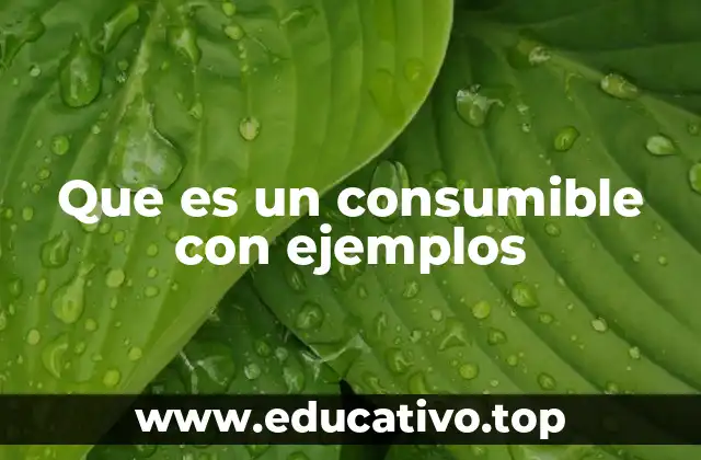 Que es un consumible con ejemplos