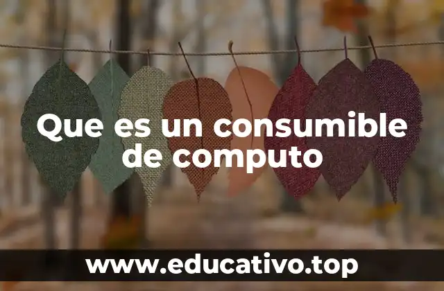Que es un consumible de computo