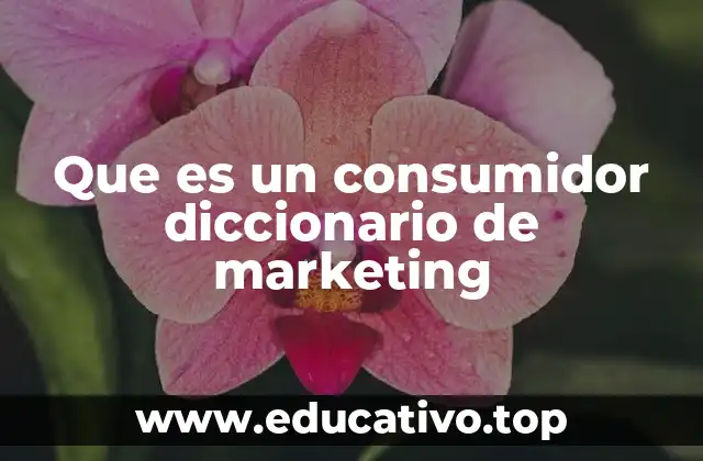 Que es un consumidor diccionario de marketing