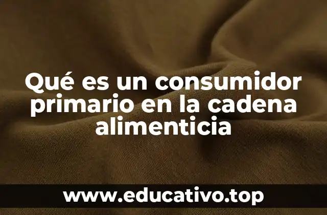 Qué es un consumidor primario en la cadena alimenticia