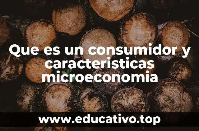 Que es un consumidor y caracteristicas microeconomia