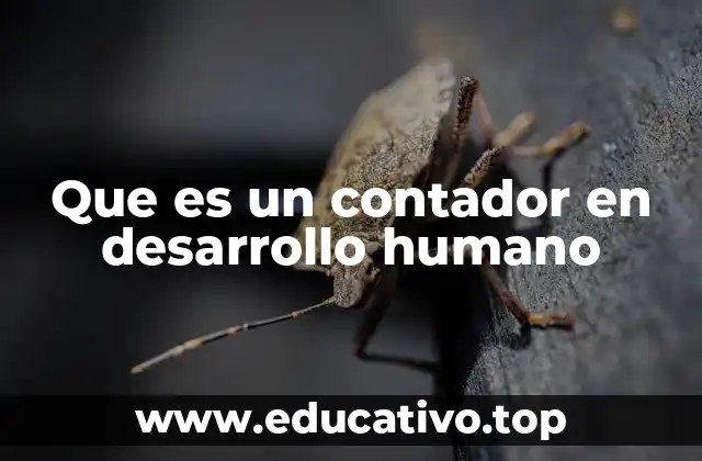 Que es un contador en desarrollo humano