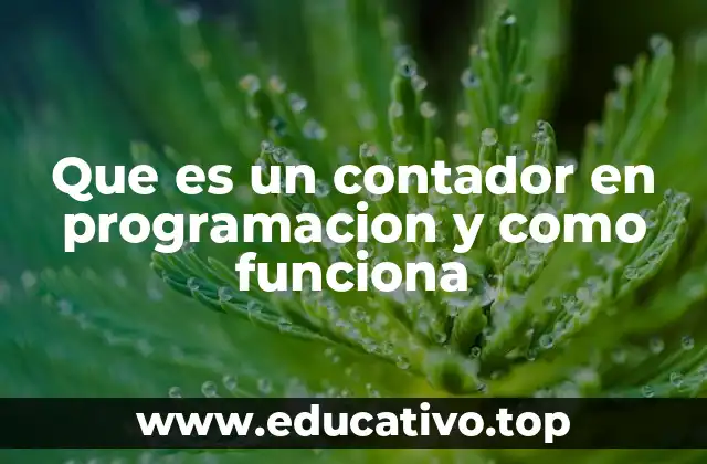 Que es un contador en programacion y como funciona