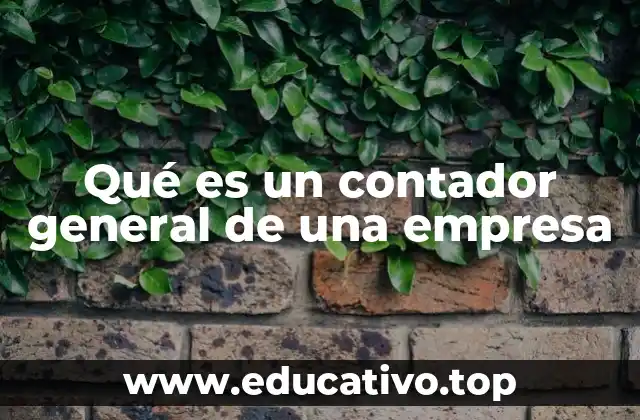 Qué es un contador general de una empresa