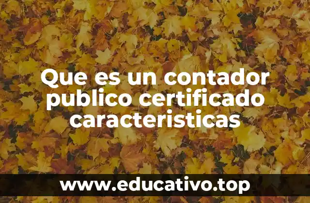 Que es un contador publico certificado caracteristicas