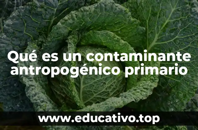 Qué es un contaminante antropogénico primario