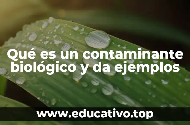 Qué es un contaminante biológico y da ejemplos