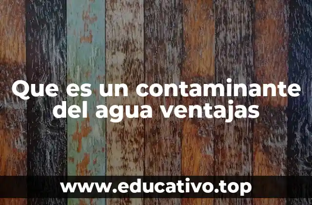 Los efectos de la contaminación en los ecosistemas acuáticos