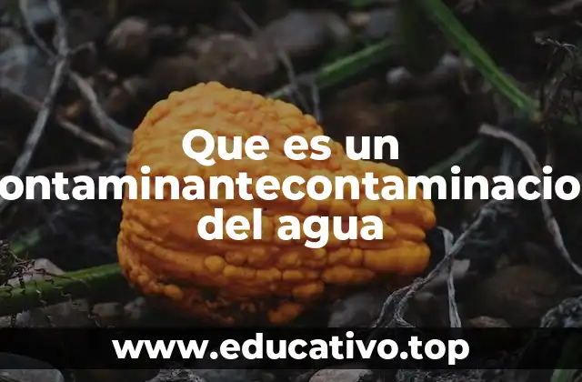 Que es un contaminantecontaminacion del agua