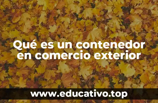 Qué es un contenedor en comercio exterior