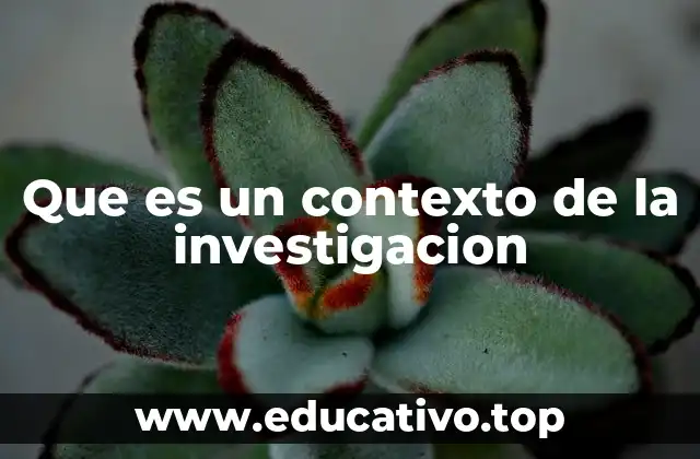 Que es un contexto de la investigacion