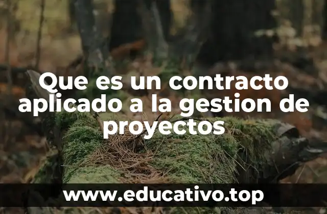 La importancia de los contratos en la gestión de proyectos