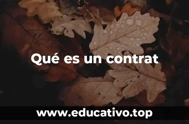 Qué es un contrat