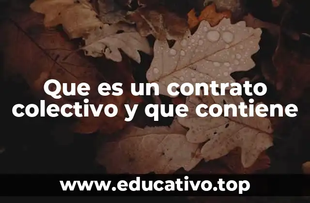 Que es un contrato colectivo y que contiene