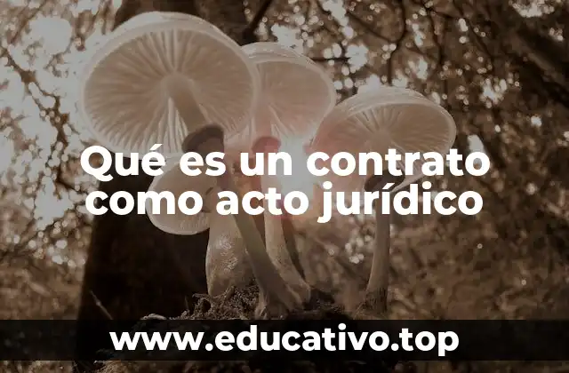 Qué es un contrato como acto jurídico