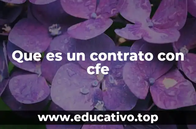 Que es un contrato con cfe
