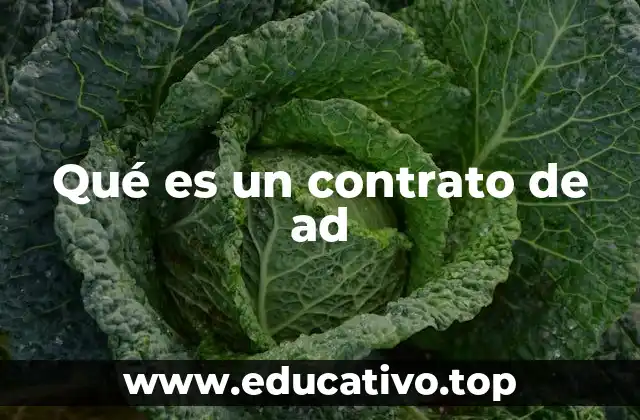 Qué es un contrato de ad