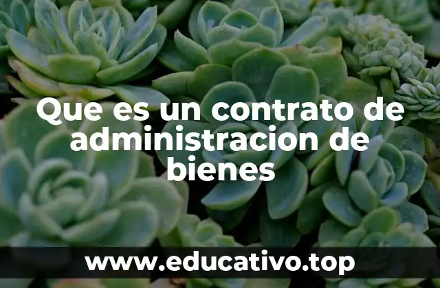 Que es un contrato de administracion de bienes