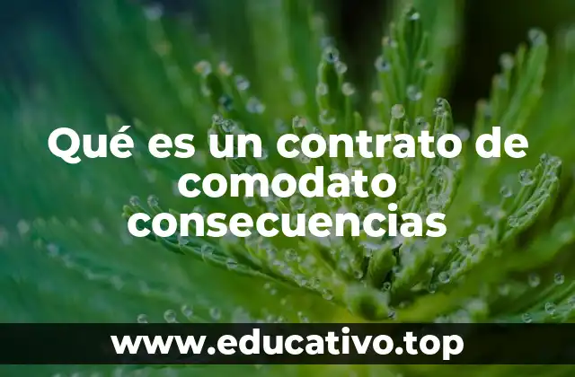 Qué es un contrato de comodato consecuencias