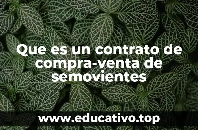 Que es un contrato de compra-venta de semovientes