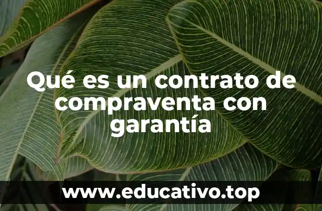 Qué es un contrato de compraventa con garantía