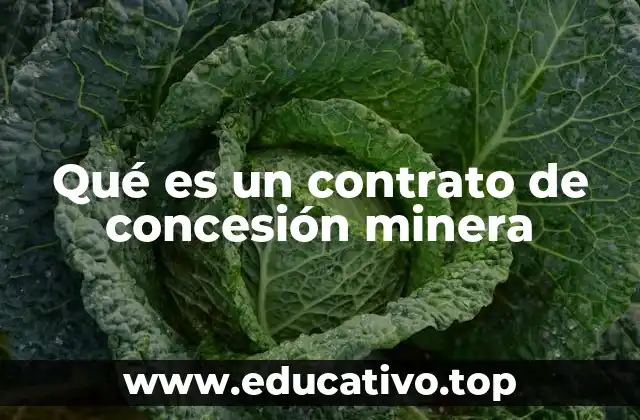 El rol del Estado en la concesión minera