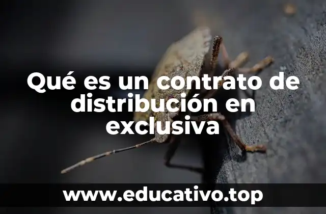 Qué es un contrato de distribución en exclusiva