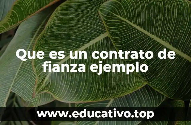 Que es un contrato de fianza ejemplo
