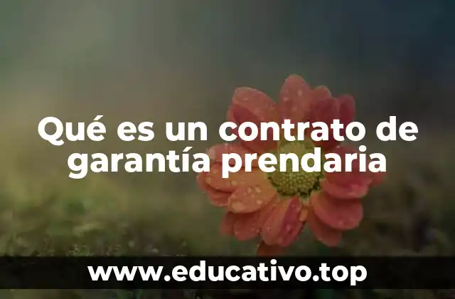 Qué es un contrato de garantía prendaria
