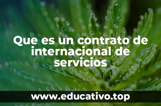 Que es un contrato de internacional de servicios
