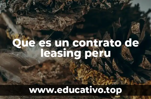 Que es un contrato de leasing peru