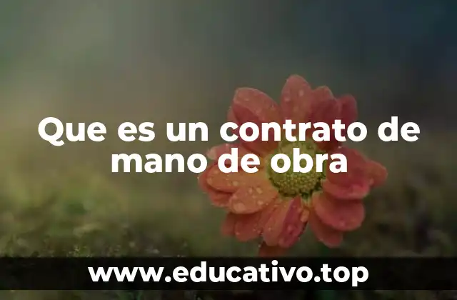 Que es un contrato de mano de obra