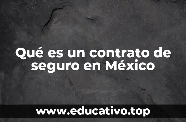 La importancia de los seguros en la vida cotidiana