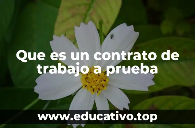 Que es un contrato de trabajo a prueba
