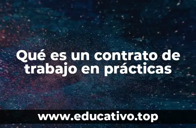 La importancia de las prácticas en el desarrollo profesional
