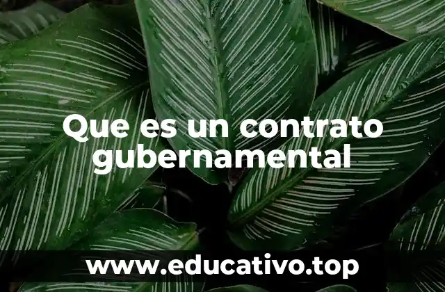 Que es un contrato gubernamental