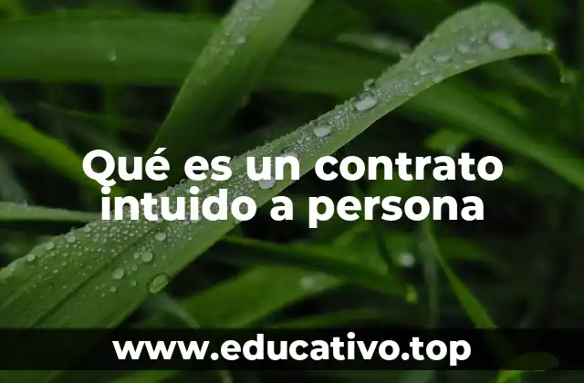 Qué es un contrato intuido a persona
